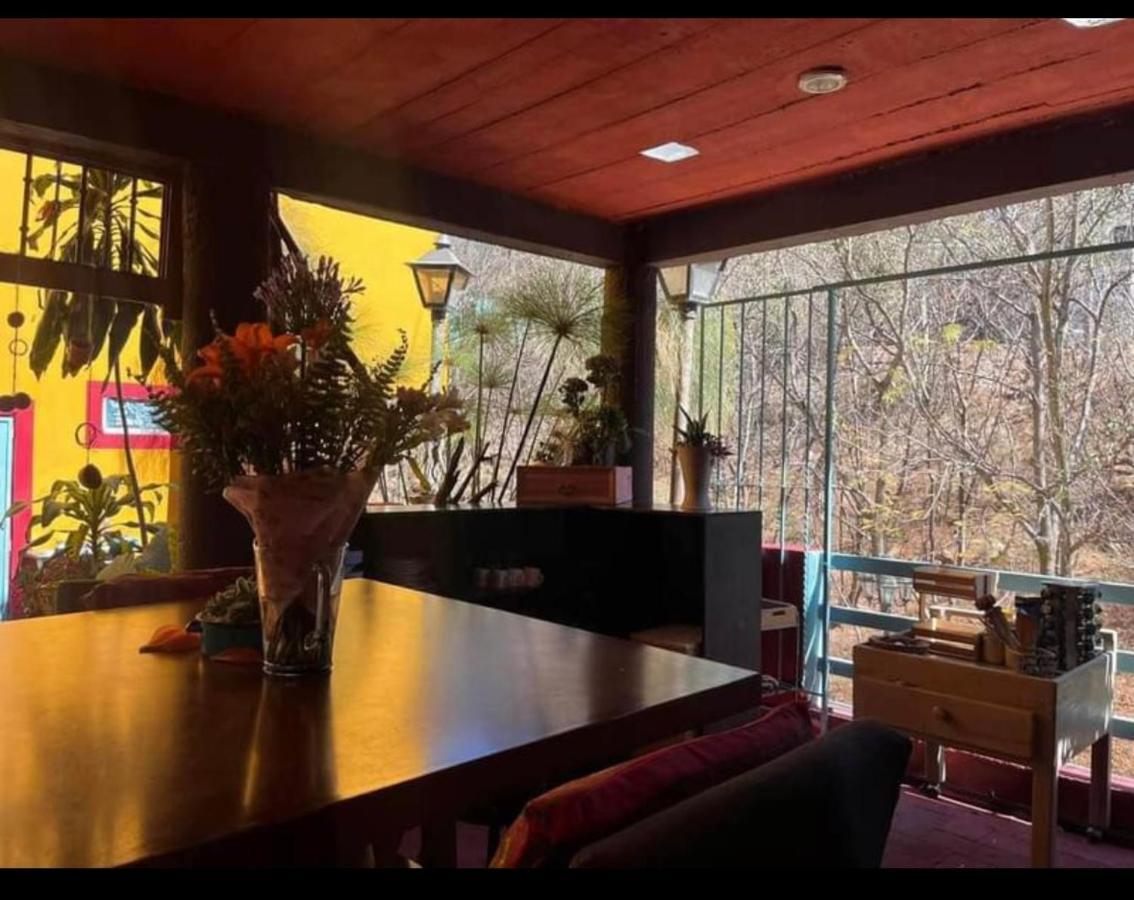Casa Grey Hotell Oaxaca Eksteriør bilde